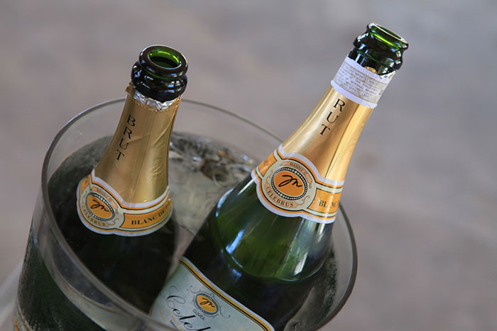 Celebrus Brut