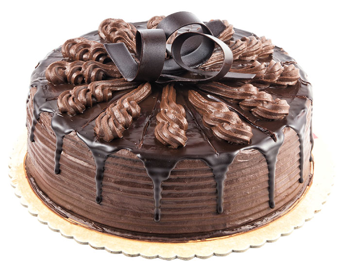 Chocolate Indulgence Cake - Steep Street