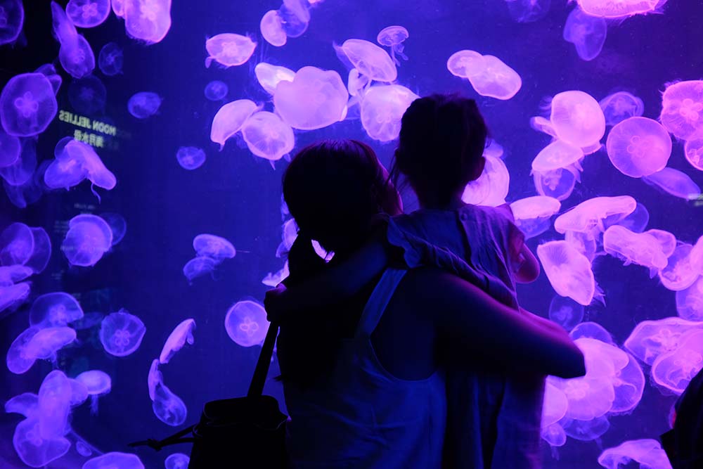 Mommies and their little ones can marvel at the diversity of aquatic creatures in the massive S.E.A. Aquarium.